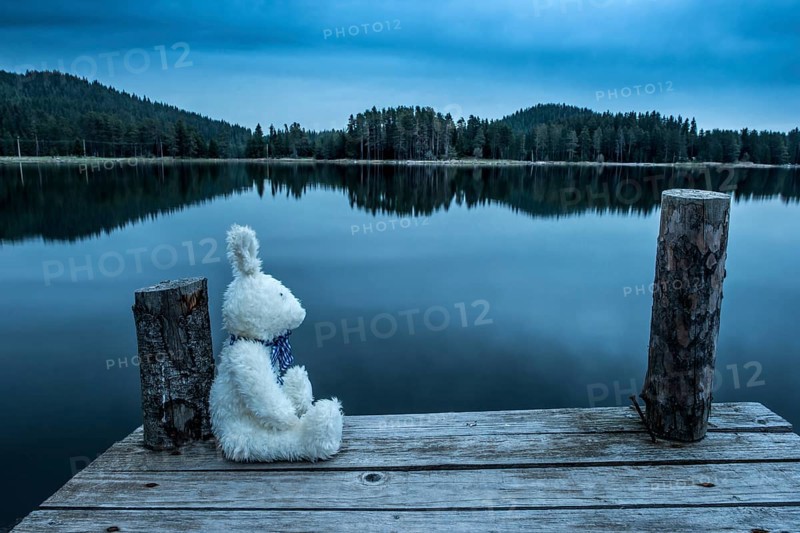 Fluffy toy bunny sitting on a pier. Shore of a mountain lake