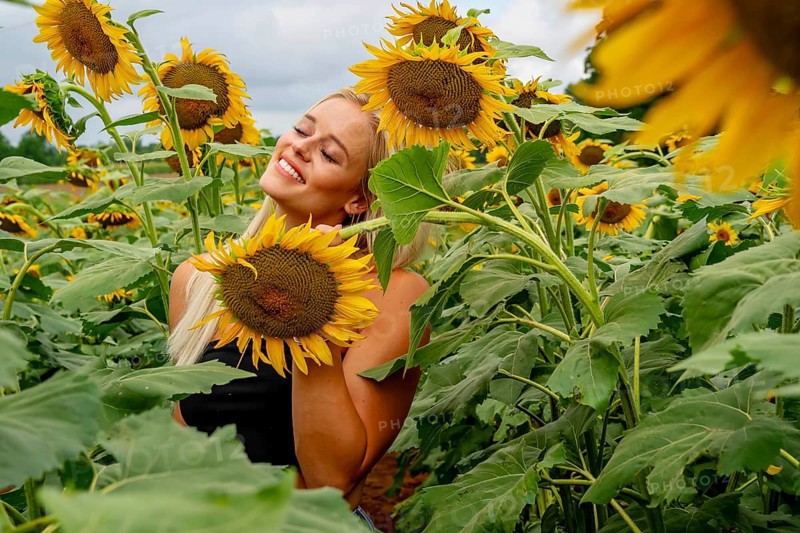 A stunning blonde model gracefully poses in a vibrant sunflower field, basking in the warmth of a summer day. The golden blooms surround her, creating a joyful and radiant outdoor scene, McConnells, United States of America