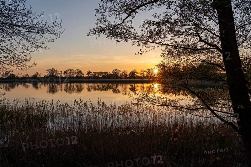 Evening atmosphere in the Upper Lusatian heath and pond landscape, Guttau pond area 1