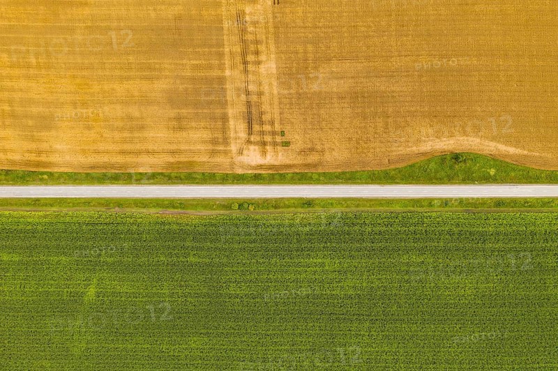 Aerial top view drone photography of a land with sown green fields in countryside