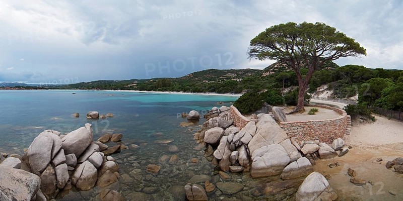 Pine tree and rock formations, Palombaggia, Tamaricciu, Corsica