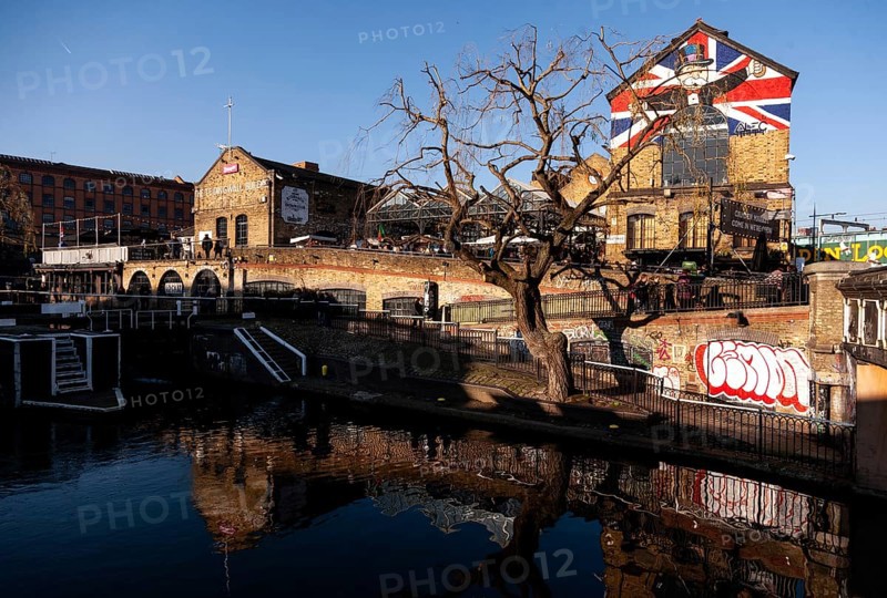A beautiful canal scene with a building adorned with a British flag, a leafless tree, and reflections in the London Borough of Camden, Greater London, United Kingdom, Europe