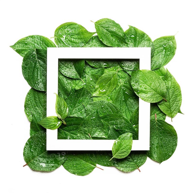 White frame on green leaf in raindrops. Sustainable flat lay, Plastic free concept
