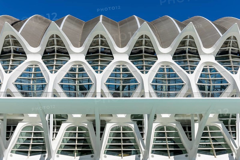 Detail of the roof of the white futuristic building of the science museum Prinz Philip (Museu de les Ciències) with blue sky in the background in the ultra-modern science complex in a landscaped park Ciudad de las Artes y de las Ciencias, Quatre Carreres, Valencia, Autonomous Community of Valencia, Province of Valencia, Spain, Europe