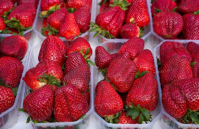Strawberries in boxes at outdoor market