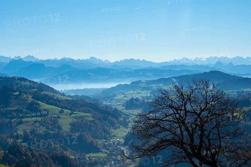 Beautiful view from the top of Hoerli, a hill in Cantone Zurich, towards the central alps