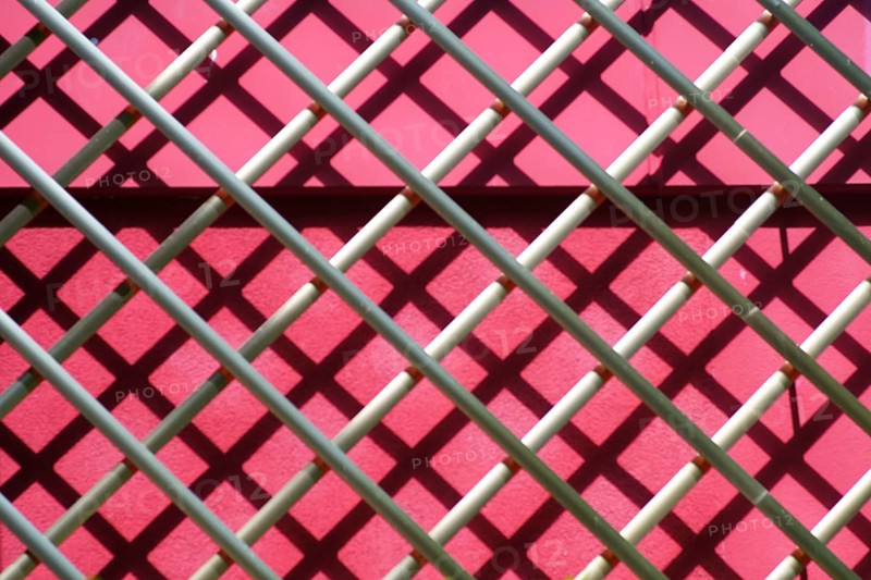 A symmetrical metal frame with large lattices serves as a climbing frame for climbing plants