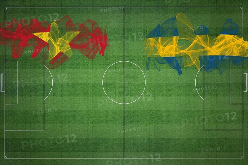 Vietnam vs Sweden Soccer Match, national colors, national flags, soccer field, football game, Competition concept, Copy space