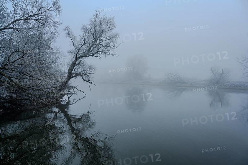 Fog on the banks of the Danube near Bogen (Lower Bavaria)