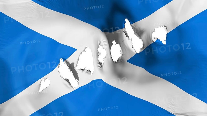 Scotland flag perforated, bullet holes, white background, 3d rendering