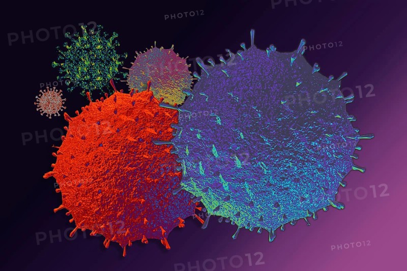 Quarantine and self-isolation. Covid-19 pandemic virus
