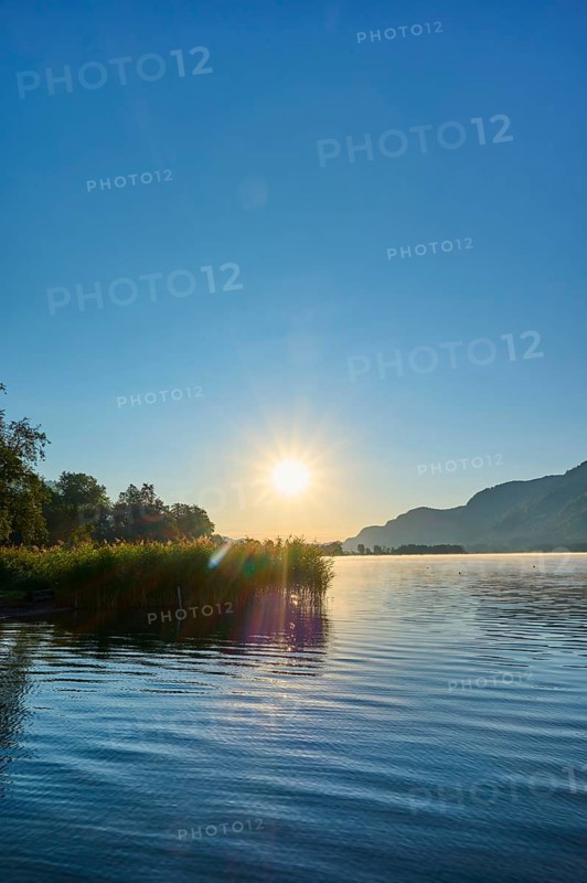 Lake shore, reeds, sunrise, summer, Steindorf am Lake Ossiach, Lake Ossiach, Carinthia, Austria