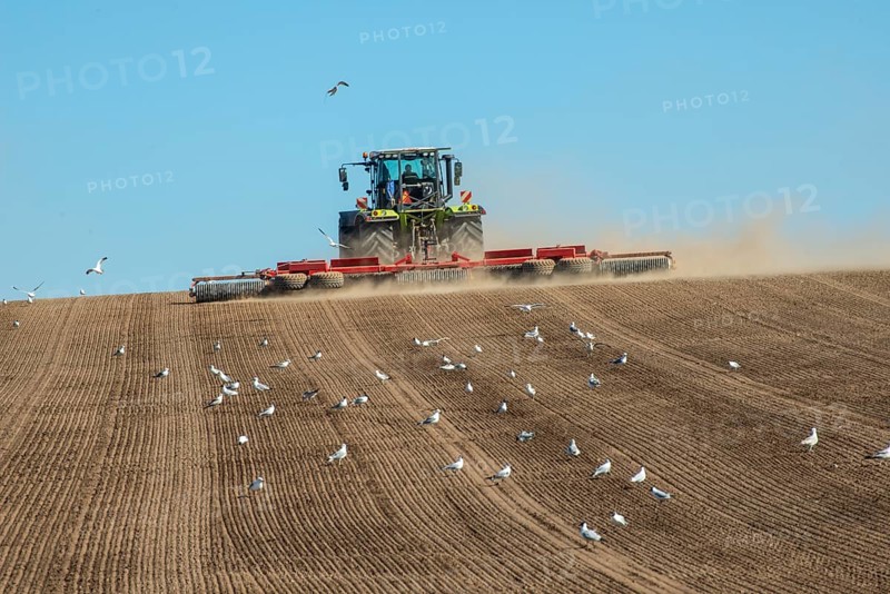 Tractor with rollers preparing the ground for spring sowing at Krageholm, Ystad Municipality, Skåne County, Sweden, Scandinavia