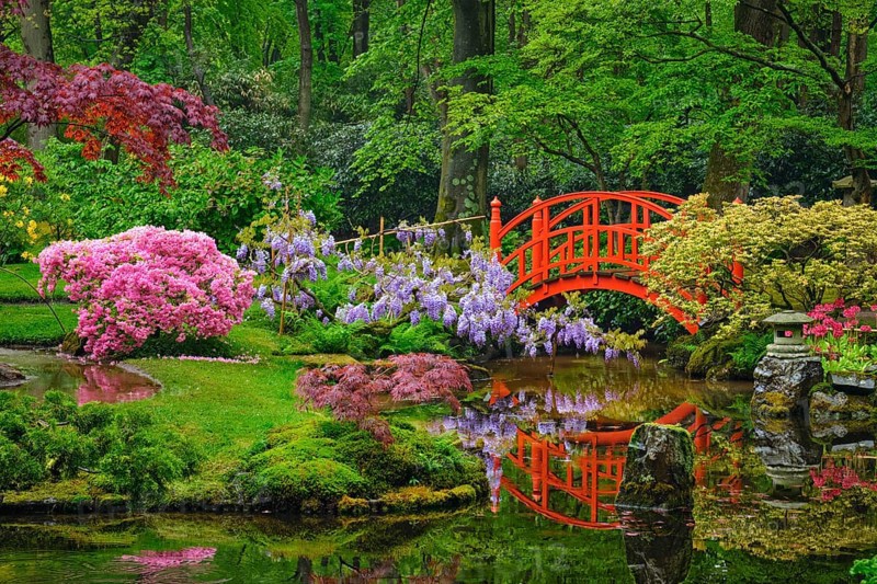 Small bridge in Japanese garden, Park Clingendael, The Hague, Netherlands