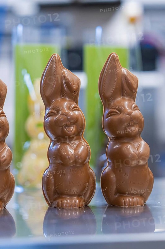 Close-up of two chocolate bunnies on a shiny table, Easter baking and chocolate icing at Haselstaller Hof, Gechingen, Black Forest, Germany