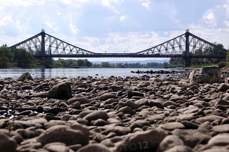 Elbe near Dresden with low water on 23 April 2025, Blaues Wunder bridge, drought, Saxony, Germany
