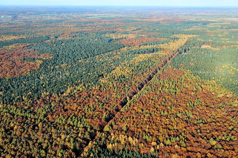 Saxon forest, aerial view, autumn forest, commercial forest, forest dieback, forest, deciduous forest, colouring, Indian summer, autumn, landscape, environment, forest, tax oasis, tax rate, Bismarck