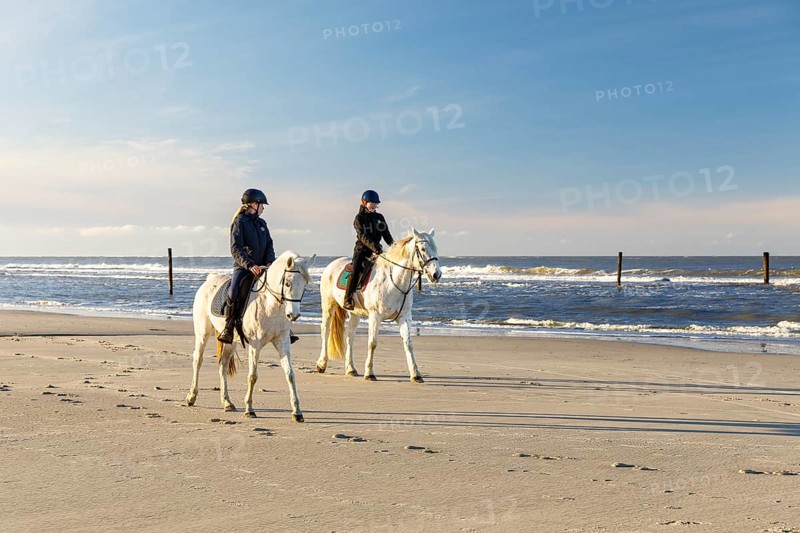2 riders on a grey horse on the north beach of Norderney, Lower Saxony, Germany