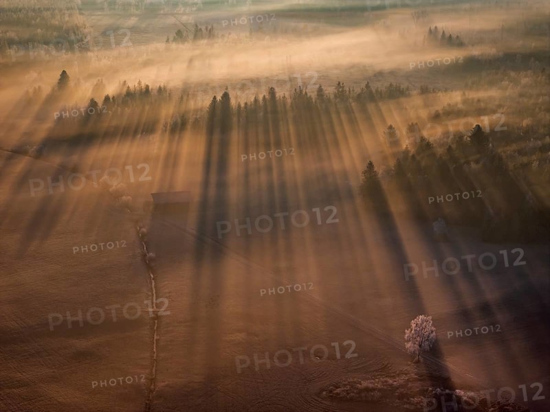 Sunrise, fog, hoarfrost, forest, winter, backlight, aerial view, Loisach-Lake Kochel-Moor, Alpine foothills, Bavaria, GermanyDefault