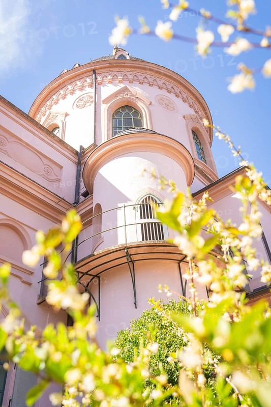 Close-up of a historic dome surrounded by blossoming flowers in spring, Mosque, Schwetzingen Palace Gardens, Germany