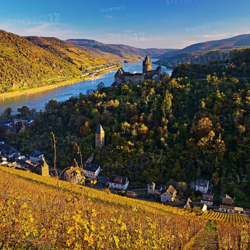 View of Bacharach with Stahleck Castle, hilltop castle above the Rhine, Upper Middle Rhine Valley in autumn, Rhineland-Palatinate, Germany