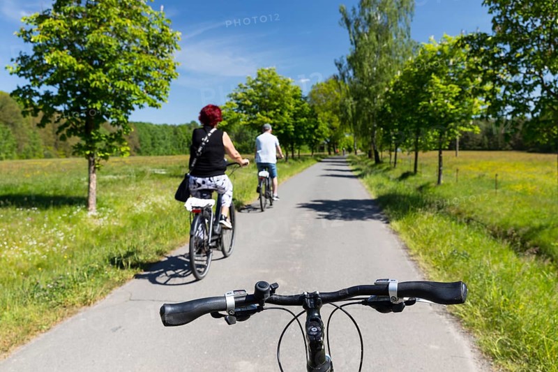 Cycling through meadows and forests in Lusatia, here near Kromlau, district of Görlitz, Saxony, Germany