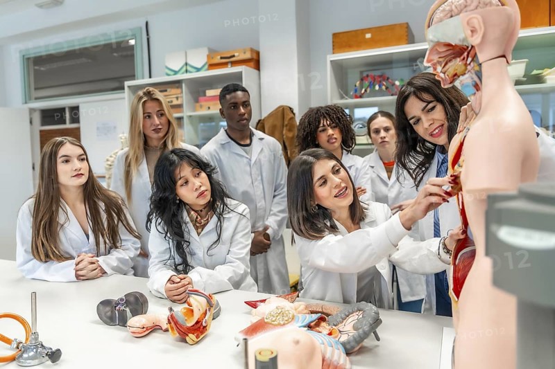 Medical students and professor learning human anatomy using anatomical models in a university laboratory