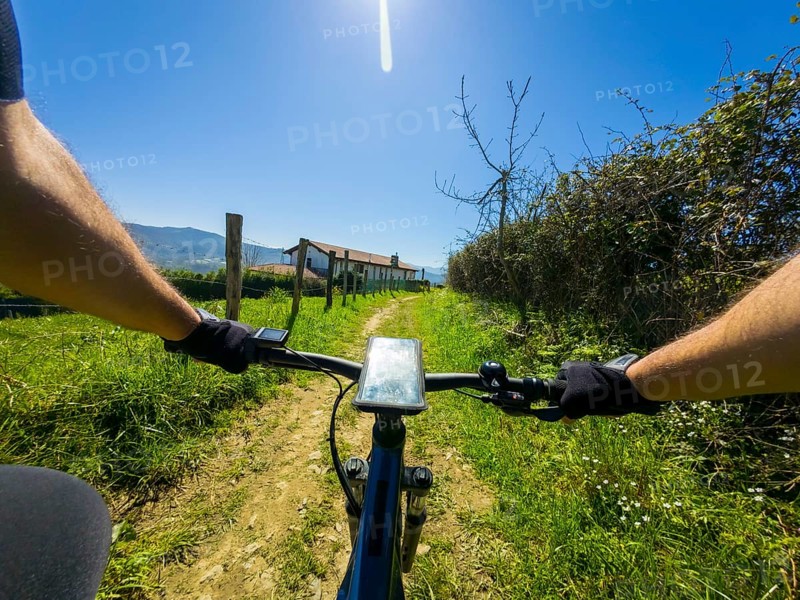First person view of cyclist navigating a sunny trail with a smartphone mounted on the handlebars, showcasing adventure and exploration
