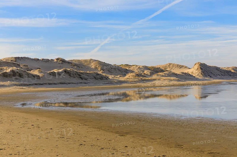 Groundwater forms small ponds in the dune landscape in Norderney, Lower Saxony, Germany
