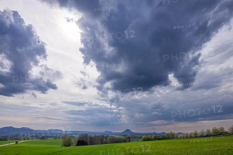 The Kirschallee from Altendorf to Rathmannsdorf with the Königstein Fortress and the Lilienstein on the horizon, Altendorf, Saxony, Germany