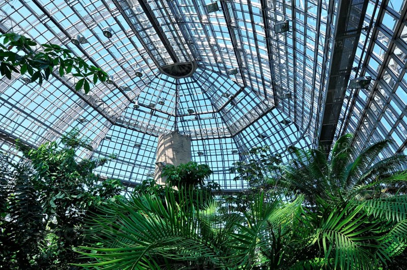 Large Tropical House, Botanical Garden, Dahlem, Berlin, Germany