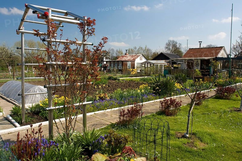 Allotment garden, Kamen, North Rhine-Westphalia, Germany, Allotment garden site, Allotment garden
