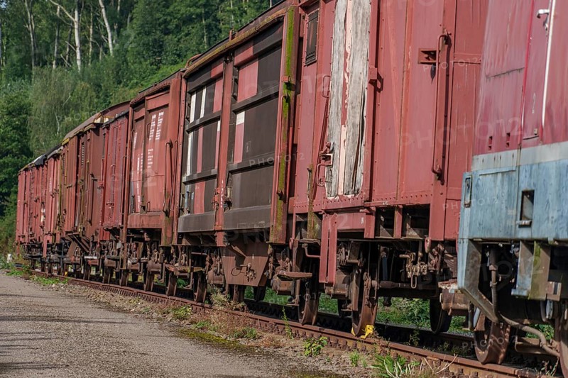 Rusty red freight wagons on a track next to a green forest, Bochum, North Rhine-Westphalia, Germany