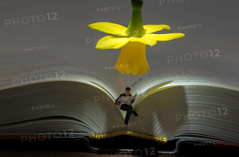 Little puppet man is reading a book sitting in the bible