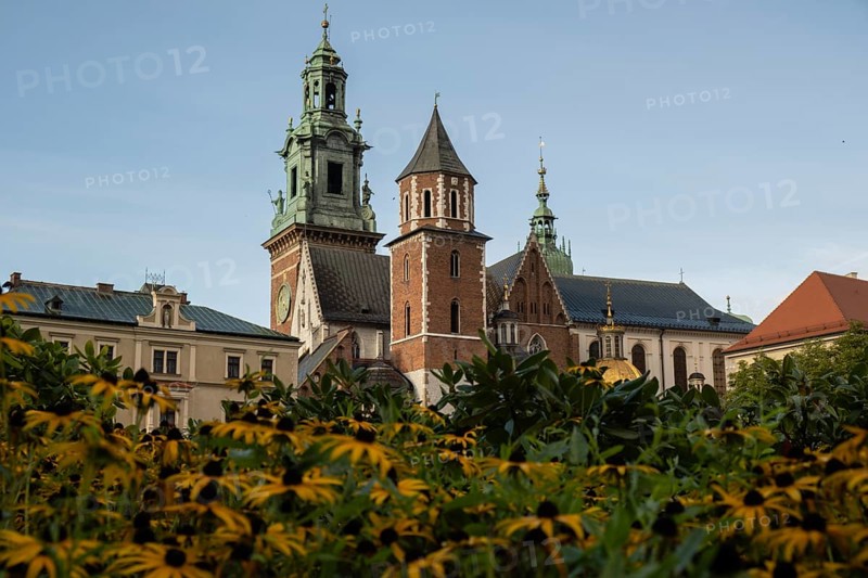 Summer view of Wawel Royal Castle in Krakow, Poland. Historically and culturally important site in Poland. Flowers on foreground. Beautiful sightseeing with Wawel Royal Castle and colorful flowers in Krakow, Poland
