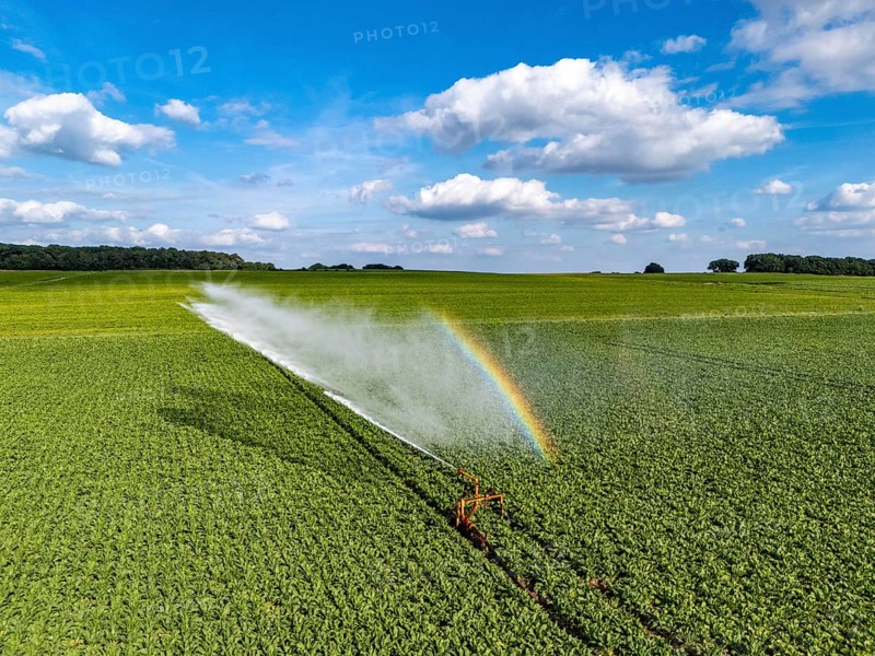 Artificial irrigation with a sprinkler system in a field where sugar beet is grown, near Rheurdt, on the Lower Rhine, Regenbogen, North Rhine-Westphalia, Germany