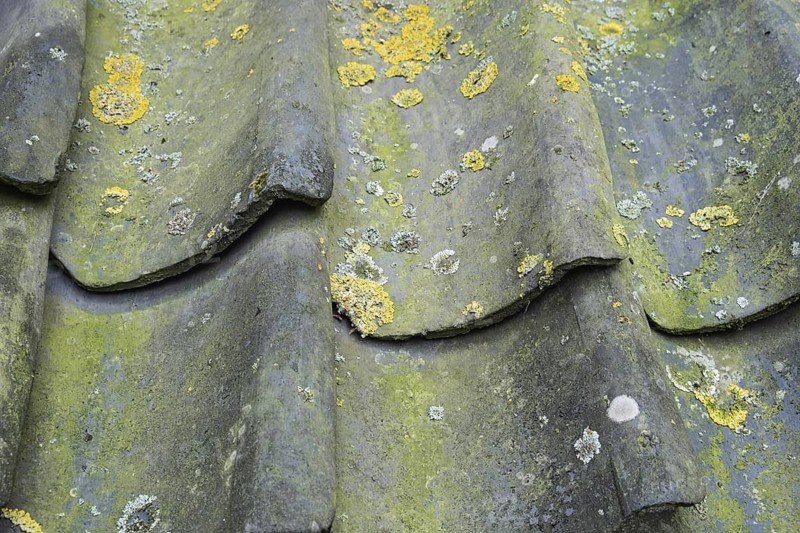 Old, weathered roof tiles with lichen, texture, background, Münsterland, North Rhine-Westphalia, Germany