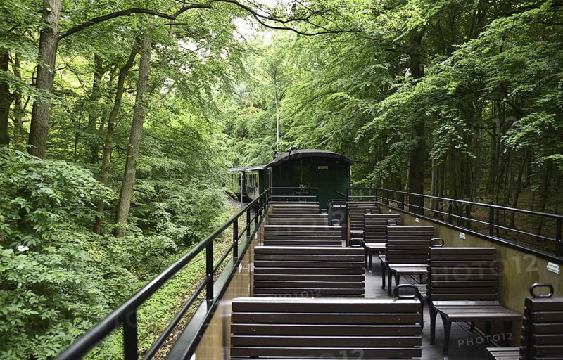 Observation car of the Raging Roland, narrow-gauge railway on Rügen, Mecklenburg-Western Pomerania, Germany