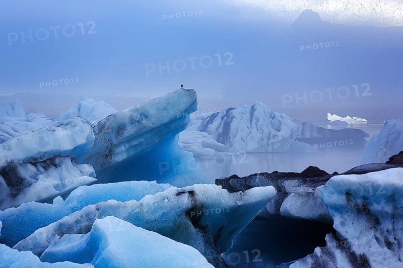 Icebergs in the morning light, Jökulsárlón glacier lagoon, Jökulsarlon, glacial lake, Vatnajökull behind, Hornafjörður, Hornafjördur, south-east Iceland, Iceland