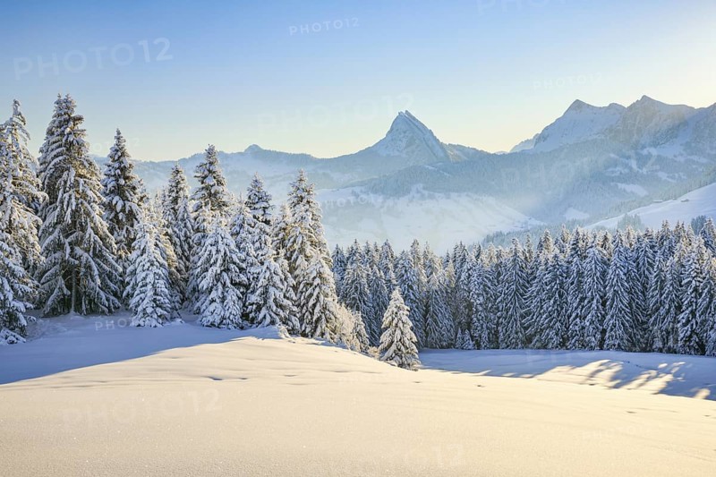 View of Sattelegg with Chöpfenberg in the background, Canton Schwyz, Switzerland