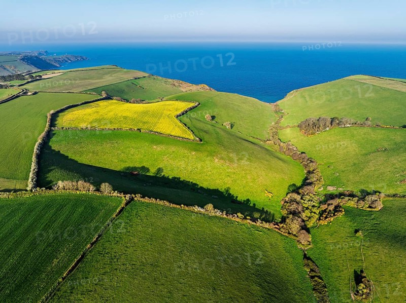 Farms and Fields over Brixham and Kingswear from a drone, Devon, England, United Kingdom