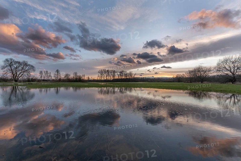 Een serene natuurweergave met een rustig meertje waar de lucht prachtig op het water reflecteert. The trees and grass surround the landscape during the summer months