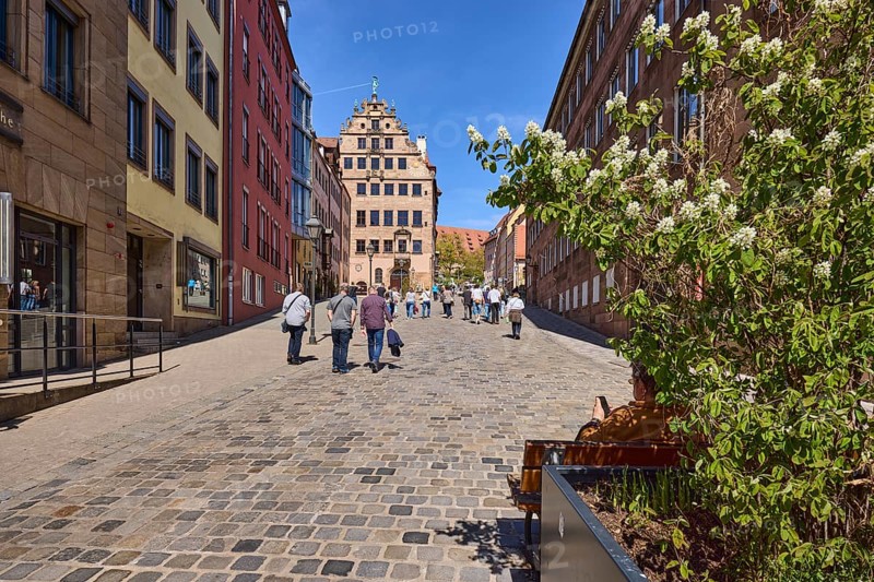 City museum in the Fembo House, historic merchant's house, city museum, flower pot, blossoming tree, Amelanchier alnifolia, cobblestone street, pedestrians as secondary motif, blue sky, cloudless, Burgstraße, Nuremberg, Middle Franconia, district-free city, Bavaria, Germany