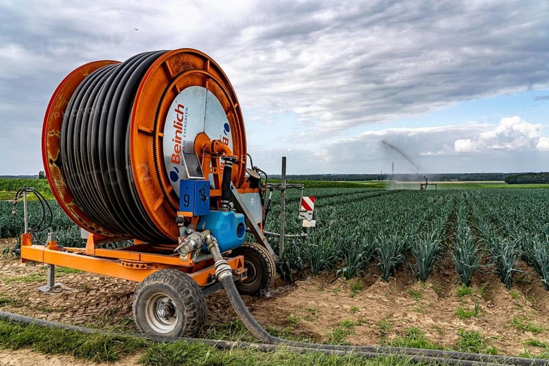 Agriculture, artificial irrigation of a field, sprinkler system, leek, leek, east of Nettetal, on the Lower Rhine, North Rhine-Westphalia, Germany