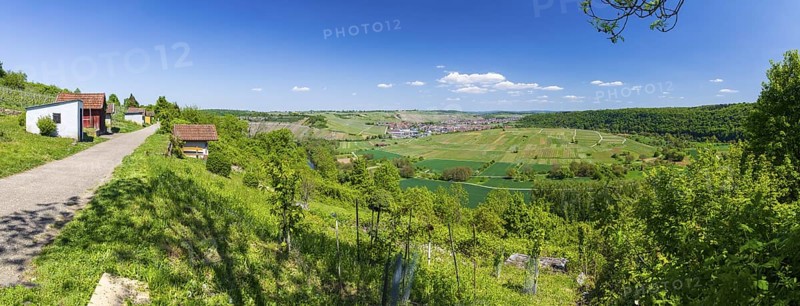 Panorama of the view of Hessigheim with a view over the Neckar loop and vineyards, Besigheim, Baden-Württemberg, Germany