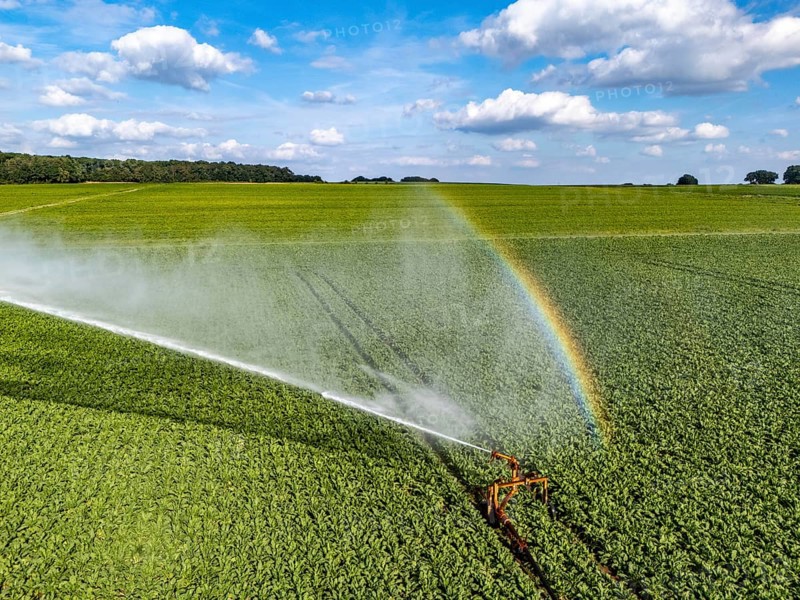 Artificial irrigation with a sprinkler system in a field where sugar beet is grown, near Rheurdt, on the Lower Rhine, Regenbogen, North Rhine-Westphalia, Germany
