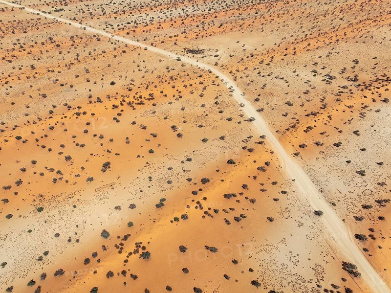 Gravel road in the Kalahari Desert with its linear sand dunes grown with camelthorn trees (Vachellia erioloba). Aerial view. Drone shot. Namibia
