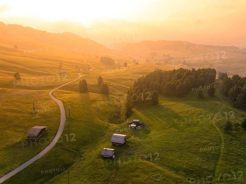 Green landscape with meadows, hills and scattered trees in the soft evening light, Alpe di Siusi, Dolomites, South Tyrol, Italy
