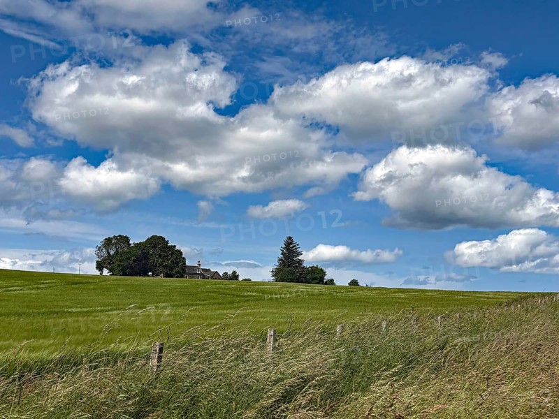 Wide green meadow under a sky with imposing clouds and a rural building in the distance, Aberdeenshire, Keith, Scotland, United Kingdom