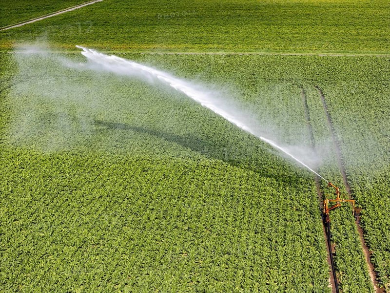 Artificial irrigation with a sprinkler system in a field where sugar beet is grown, near Rheurdt, on the Lower Rhine, North Rhine-Westphalia, Germany